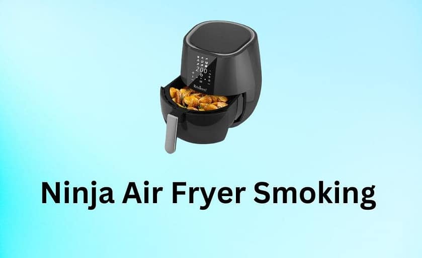 Ninja Air Fryer ( Recipes, Tips And Guides )