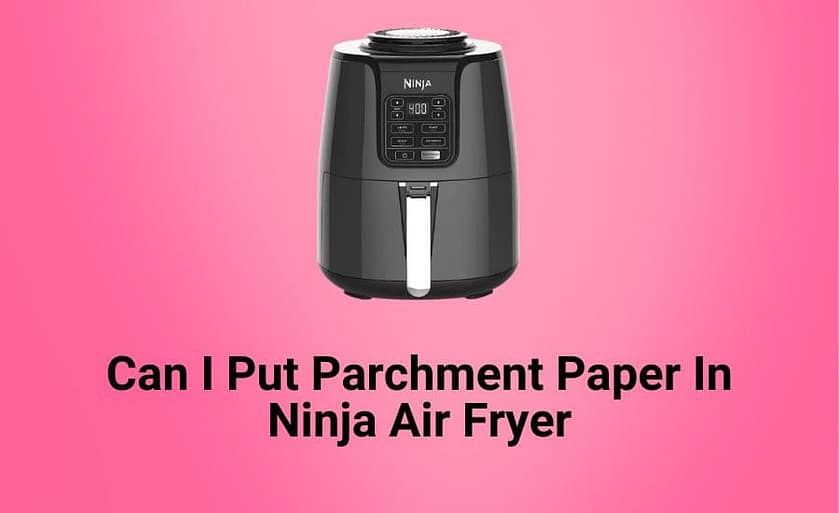 Ninja Air Fryer ( Recipes, Tips And Guides )